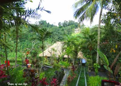 hanging gardens