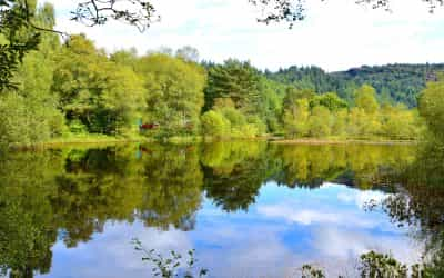 A full day tour to the Scottish Highlands, with the “Hairy Coo Tours”