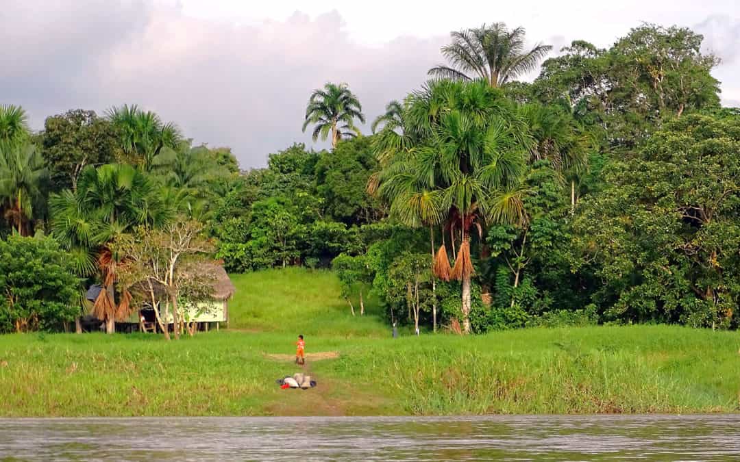 Κολομβία: πληροφορίες για το ταξίδι στον Αμαζόνιο (2)