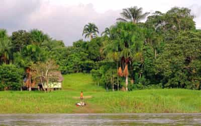 Colombia: info about the trip to the Amazon region (part II)