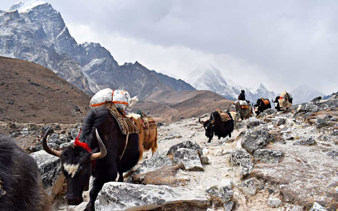 himalayas