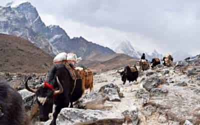 Ορειβασία στο Έβερεστ Base Camp: το πρόγραμμα (1)